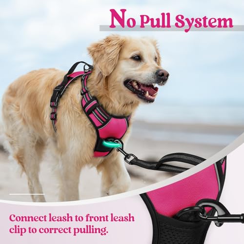 rabbitgoo Dog Harness, No Pull Medium Sized with 2 Leash Clips - Image 6