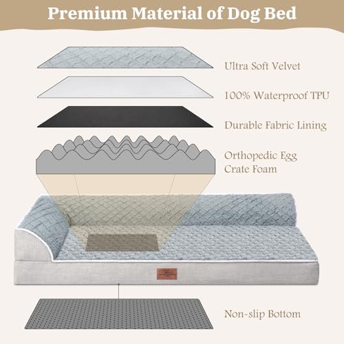 Comfort Expression XL Dog Bed Orthopedic, Extra Larg | Pet Safety & Co - Image 4