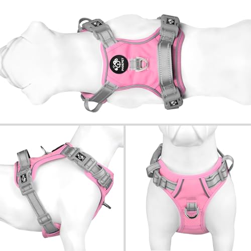 PHOEPET No Pull Dog Harness, Unique Colors Reflective | Pet Essentials - Image 3