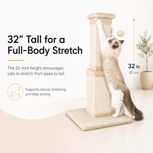 Cat Scratching Post for Indoor Cats, 32Inch Sisal Cat Scratcher, Beige - Image 7