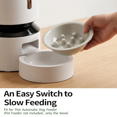 Slow Feeder Bowl for Automatic Dog Pet Feeder Pet Food - Image 5
