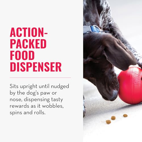 KONG Wobbler, Interactive Treat-Dispensing Dog Toy - Image 3