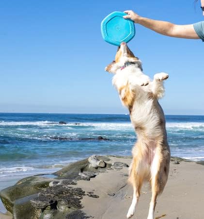 PROJECT HIVE ·PET COMPANY· - Soothing Vanilla Scented - Hive Frisbee Disc for Dogs - Great for Fetch - Includes a Lick mat on Back - Floats in Water, Smooth Glide - Made in The USA