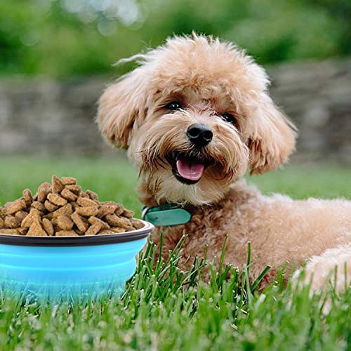 Large Collapsible Dog Bowls, 34oz Travel Water Food | Travel Essential - Image 4