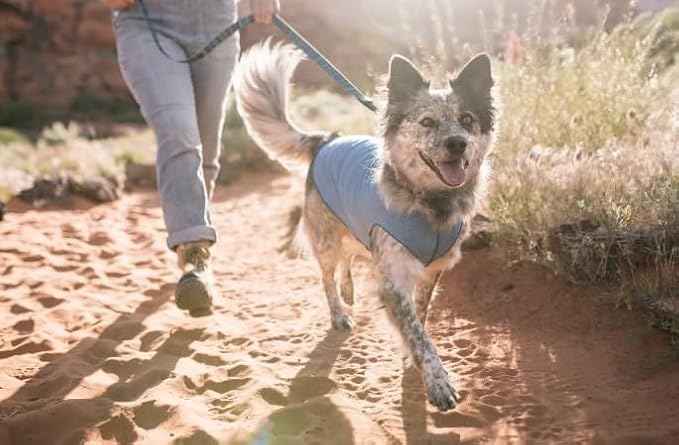 Goldpaw Dog Sun Shirt with UV Protection - Lightweight, Cooling Sun Protection Clothing for Dogs - Reduce Heat Absorption - Pet Clothes Made in The USA - Machine Washable - Pistachio Green - Size 16