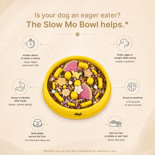 Slow Mo Bowl | Slow Feeder Dog Bowl for Fast Eaters, Improves Digestion & Reduces Bloating, Fun Interactive Design, & Dishwasher Safe | Kubi Pets | Yellow (Yellow)