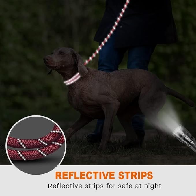 Taglory Rope Dog Leash 6 FT with Comfortable Padded Handle, Highly Reflective Threads Leash for Medium Large Dogs, 1/2 inch, Pink