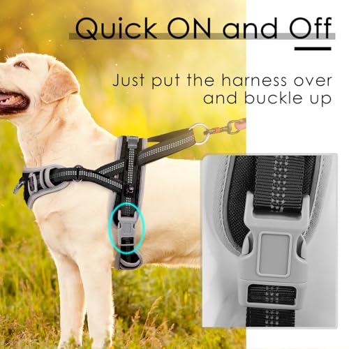ADVENTUREMORE Dog Harness Small Sized Dog No Pull with QR - Image 4