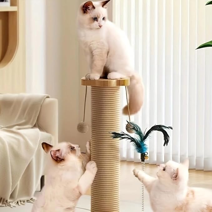 Cat Scratching Post-3