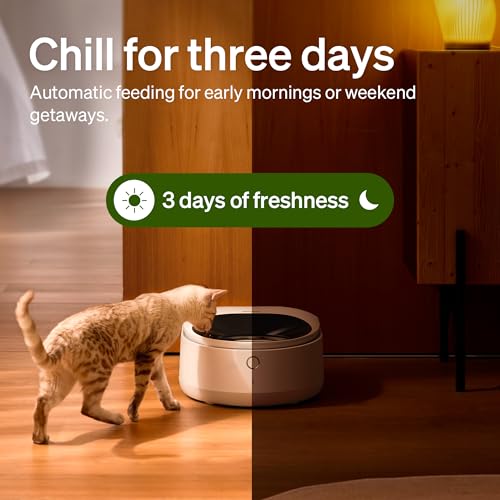 PETLIBRO Automatic Cat Feeder Wet Food with Stainless Steel Bowl - Image 5