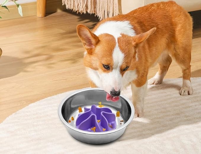 Slow Feeder Insert for Dogs & Cats, 3 Sizes Food-Grade Silicone Anti-Choking Puzzle Feeder, Non-Slip Suction Cup Design, Fits Most Bowls, Bloat Stop Pet Feeding Solution