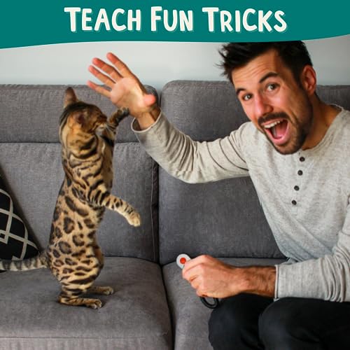 Cat Training Kit Quiet Clicker + Target Stick + Pouch + Guide - Image 3
