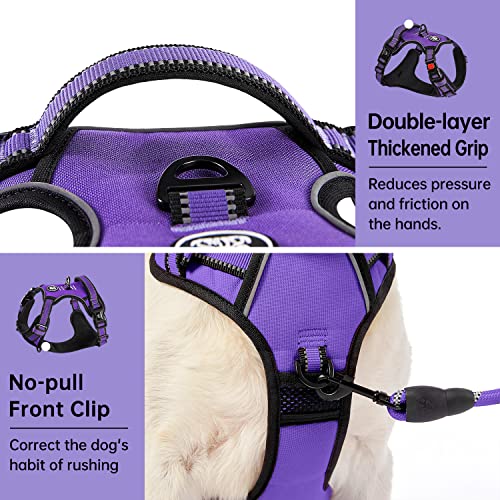 IVY&LANE No Pull Dog Harness for Small Dogs,Reflective Dog - Image 5