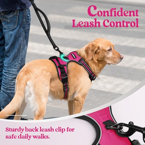 rabbitgoo Dog Harness, No Pull Medium Sized with 2 Leash Clips - Image 7
