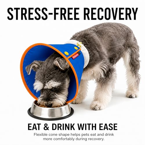 Soft Dog Cone Collar for Dogs & Cats | Pet Essentials - Image 3