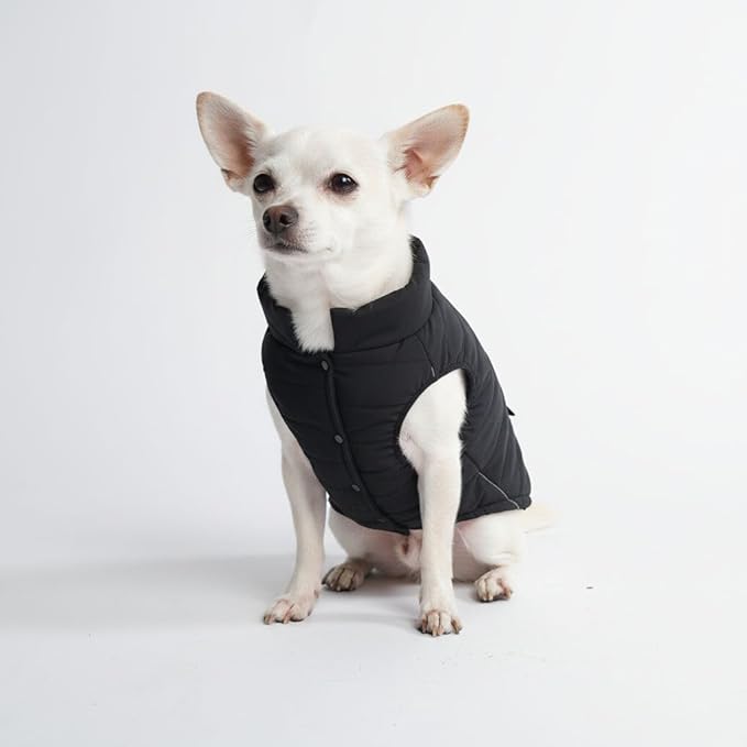 Spark Paws Dog Winter Jacket, Water-Resistant Coat, Warm Reflective Windproof Fleece-Interior, for Medium and Large Dogs - Black - S
