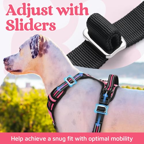 rabbitgoo Dog Harness for Large, No Pull 3 Buckles Easy On & Off - Image 6
