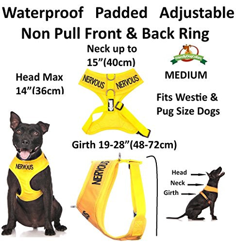 Nervous Yellow Color Coded Waterproof Padded Adjustable Non Pull Front and Back Ring Alert Warning Medium Vest Dog Harness Prevents Accidents By Warning Others of Your Dog in Advan - Image 3