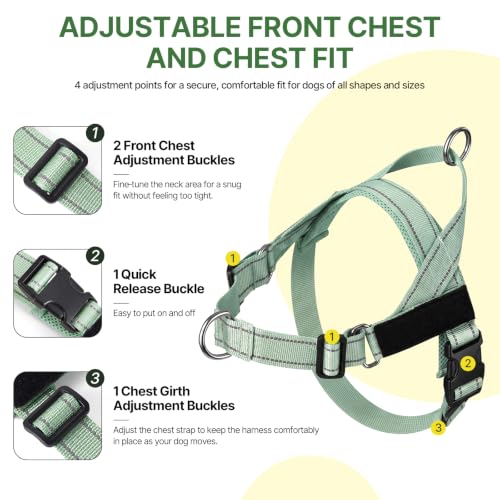 No Pull Dog Harness with Front Clip,Soft Padded, Sage Green,L - Image 4