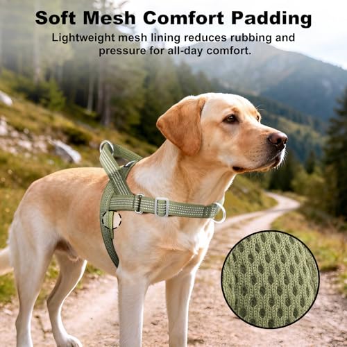 No Pull Dog Harness with Handle, Adjustable Soft Mesh Padded Vest - Image 5