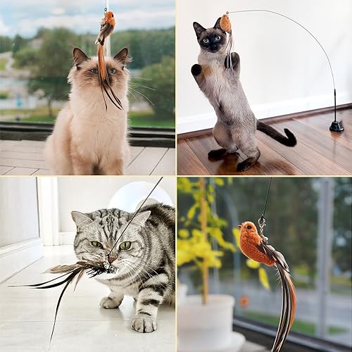 Leo's Paw Interactive Bird Simulation Cat Toy (Replacement Suction Cup Base)