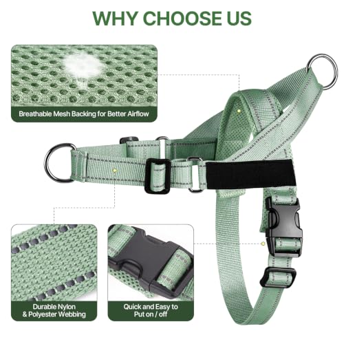 No Pull Dog Harness with Front Clip,Soft Padded, Sage Green,L - Image 5