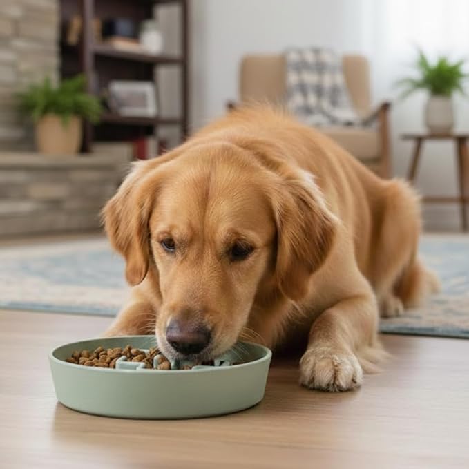 Sustainable Dog Slow Feeder Bowl – 11.8 OZ (350 ML) | Eco-Friendly Material, Dishwasher Safe | Suitable for Dry and Wet Food | Durable and Easy to Clean | Mint Green