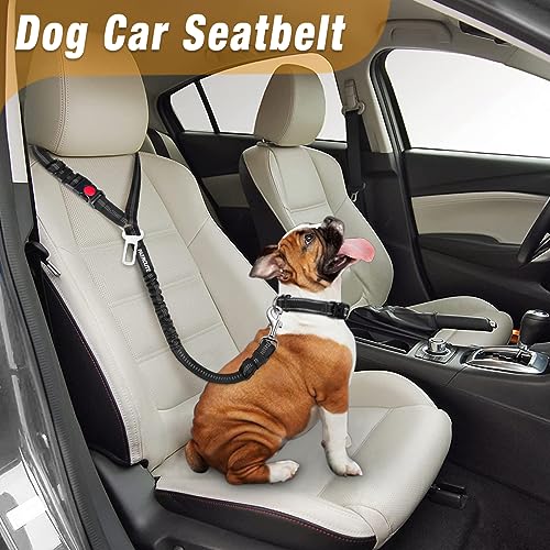 2 Piece Set Dog Seat Belt - Retractable Car Seatbelt | Pet Essentials - Image 3