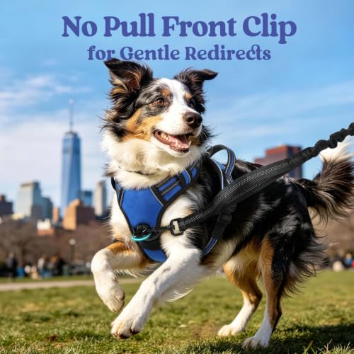 rabbitgoo Dog Harness for Large, Updated Easy On & Off - Image 4