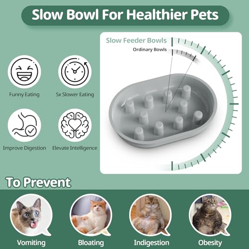 Slow Feeder Bowl for Automatic Microchip Cat Pet Feeder - Image 4
