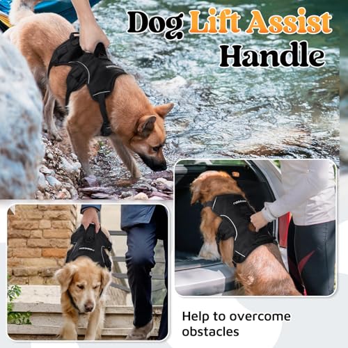 rabbitgoo Escape Proof Dog Harness for Medium, No Pull - Image 5