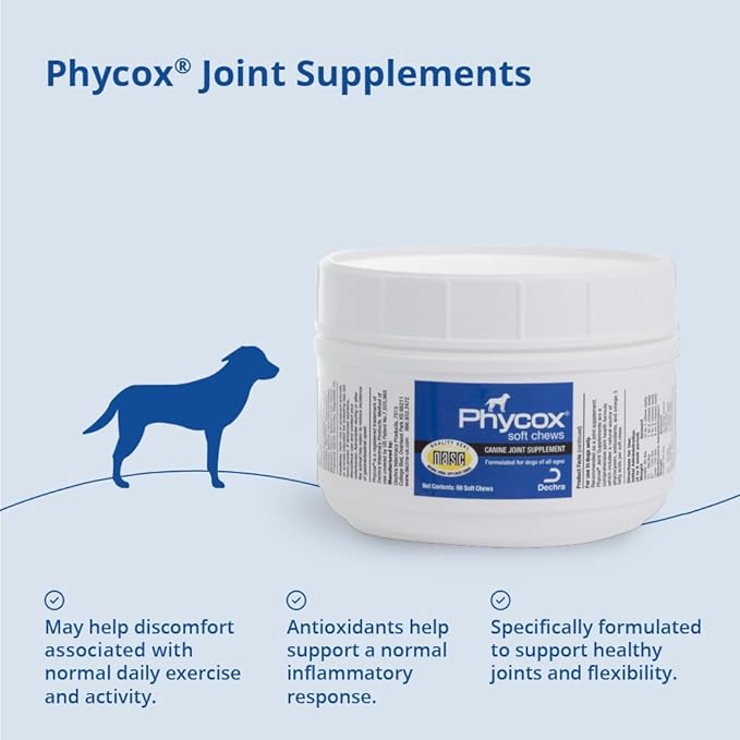 Dog Joint Supplement Soft Chews, 60 Ct