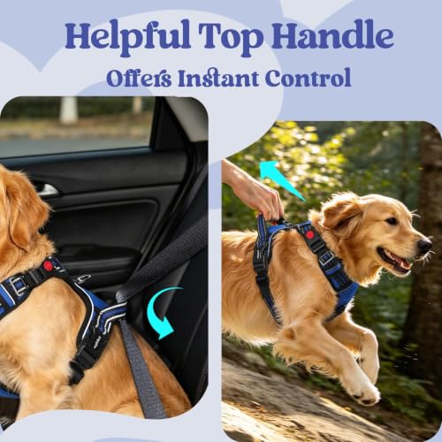 rabbitgoo Dog Harness for Large, Updated Easy On & Off - Image 7