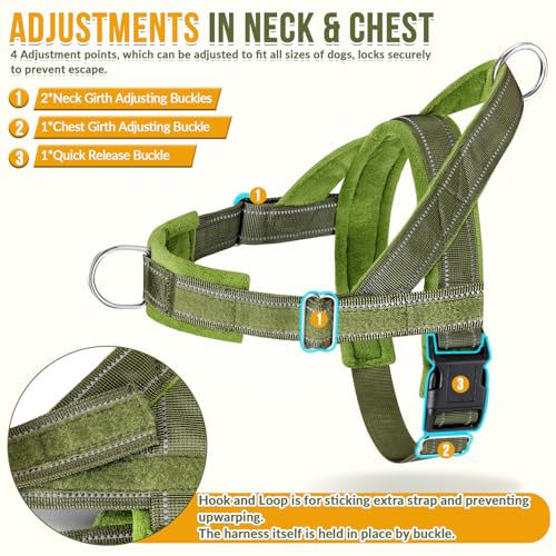 SlowTon No Pull Dog Harness and Leash Set - Heavy Duty - Image 6