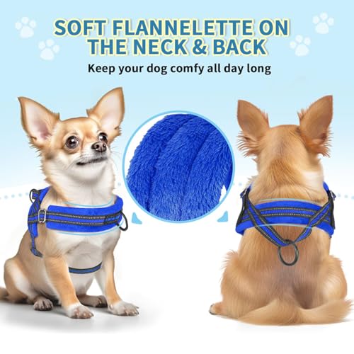 Lukovee Small Dog Harness and Leash Set, No Pull Soft Padded - Image 6