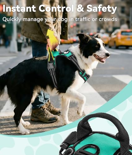 Joytale No Pull Dog Harness Medium Sized Dog, Front Clip, Teal - Image 4