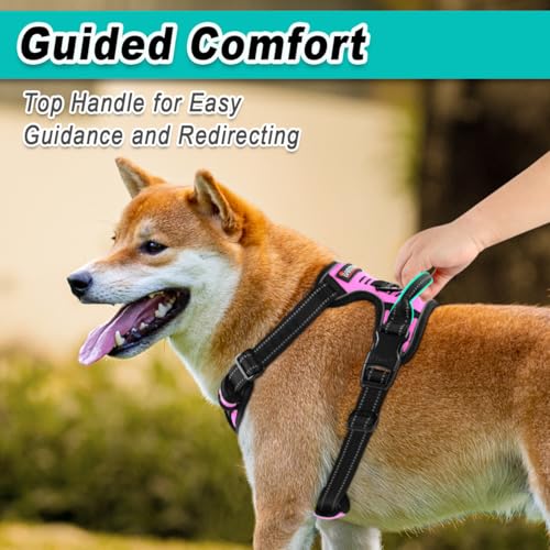 BARKBAY Dog Harness for Large dog No Pull 2 leash Clips Dog Vest - Image 5