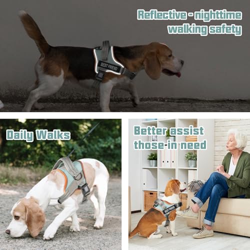 AUROTH Dog Harness and Leash Set for Medium Sized Dog, No - Image 3