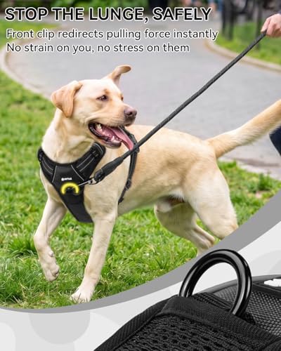 Joytale No Pull Dog Harness & Seat Belt, Easy On 3-Buckle, L, Black - Image 5