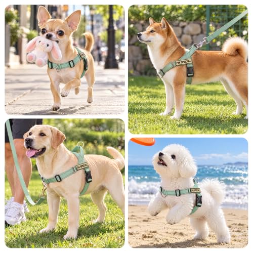 No Pull Dog Harness with Front Clip,Soft Padded, Sage Green,L - Image 8