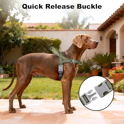 No Pull Dog Harness with Handle, Adjustable Soft Mesh Padded Vest - Image 7