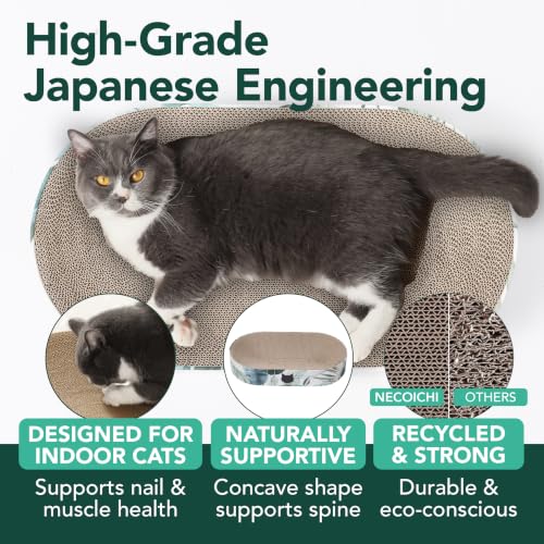 Necoichi Cat Scratcher Bowl Capsule Lounger Bed