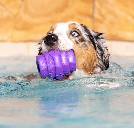 PROJECT HIVE ·PET COMPANY· - Calming Lavender Scented - Hive Chew Toy for Large Dogs - Dog Chew Toy for Large Breeds - Floats in Water - Durable and Tough - Made in The USA