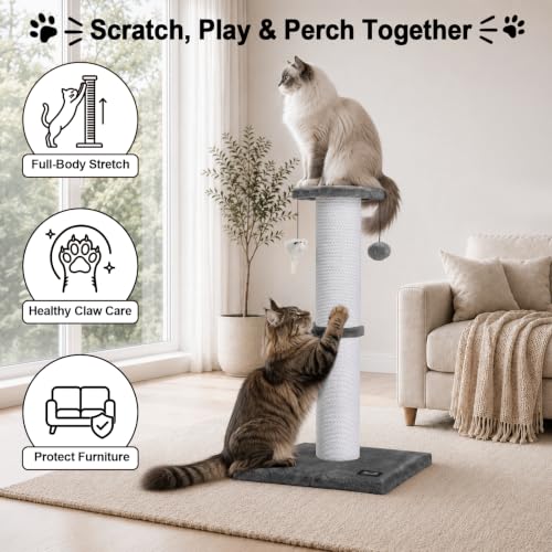 34-Inch Tall Cat Scratching Post for Large Cats, Gray - Image 4
