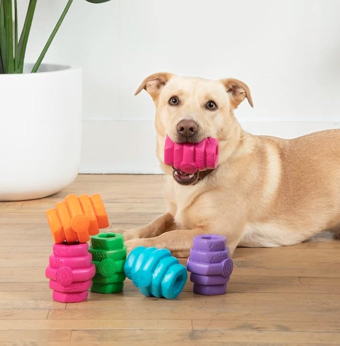 PROJECT HIVE ·PET COMPANY· - Wild Berry Scented - Hive Chew Toy for Large Dogs - Dog Chew Toy for Large Breeds - Floats in Water - Durable and Tough - Made in The USA
