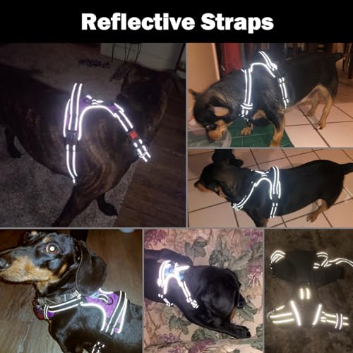 PHOEPET No Pull Dog Harness Medium Reflective Front Clip - Image 6