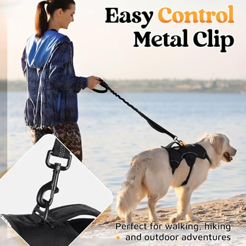 rabbitgoo Escape Proof Dog Harness for Medium, No Pull - Image 7