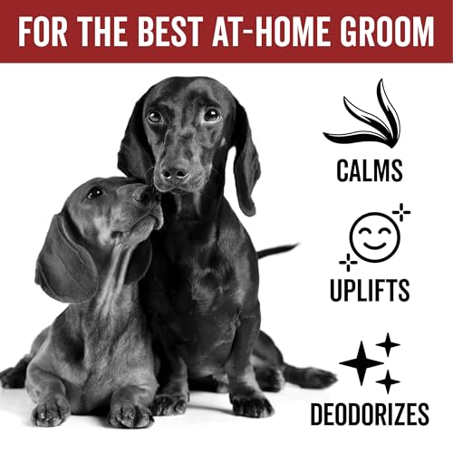 PRIDE AND GROOM DogDays Deodorizing Dog Spray | Long | Pet Essentials - Image 3