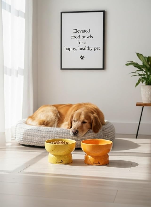 Ceramic Cat Bowls - Elevated cat Bowl, Anti-Vomiting, Whisker Friendly Raised Cat Bowl, Easy to Clean, Non-Slip, Suitable for Small Dogs - Pack of 2 (White-Beige, Orange-Yellow) (Yellow-Orange)