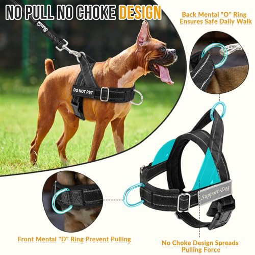 Lukovee No Pull Dog Harness and Leash Set, Soft Padded - Image 3